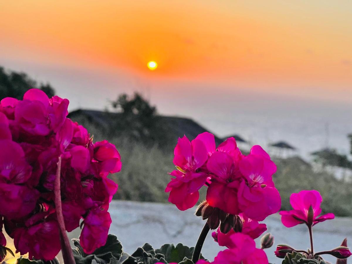 فيلا Oia Sunset House Pothitou المظهر الخارجي الصورة