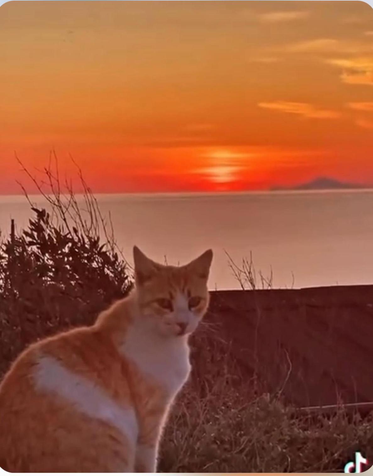 فيلا Oia Sunset House Pothitou المظهر الخارجي الصورة